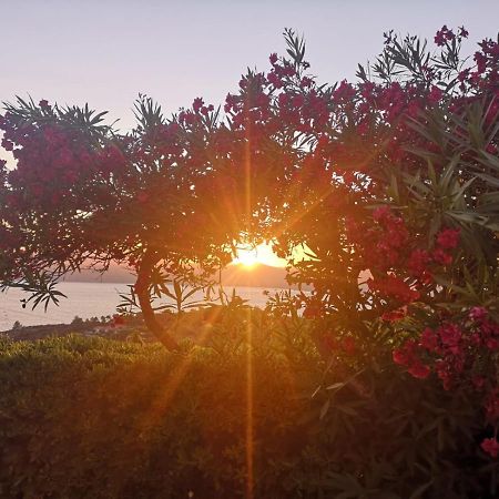 La Casa Sul Tramonto - Capoliveri - Services Included Екстер'єр фото